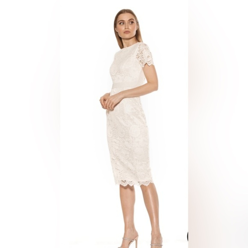 Alexia Admor Delora Dress